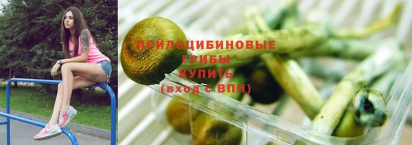 гидра Алзамай
