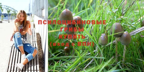 PSILOCYBIN Алексин